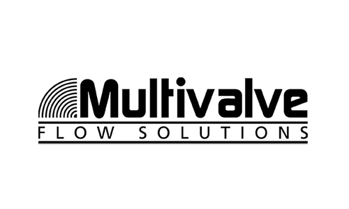 Multivalve Flow Solutions